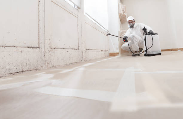 24/7 Emergency Mold Remediation experts in Jacksonville, NC