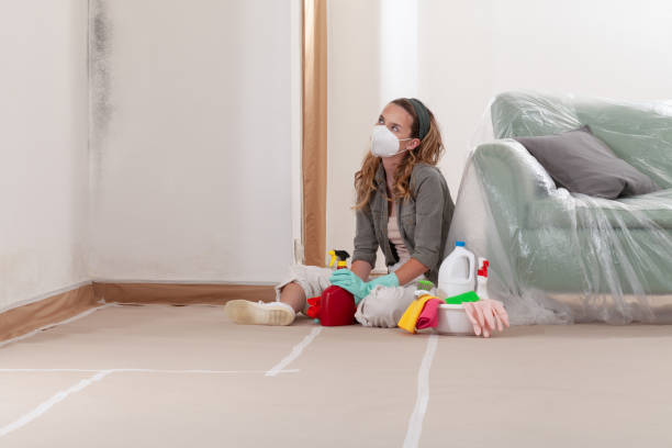 Reliable Mold Remediation contractor in Jacksonville, NC by Cheap Mold Removal